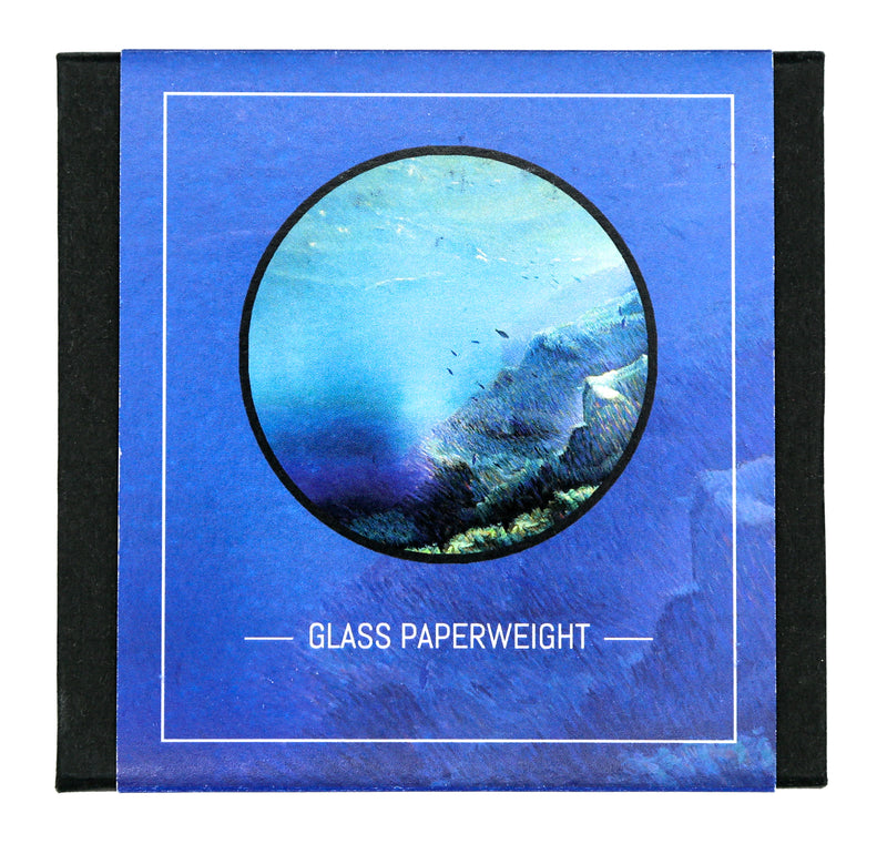 Glass Paperweight with Bahamian Artwork